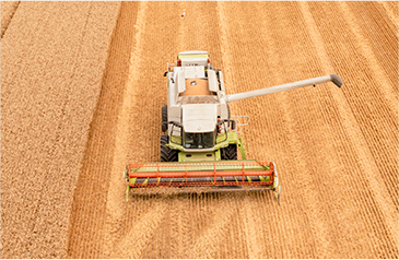 收——加大收割自动化力度，利用智能收获系统，保种保收，提产提质