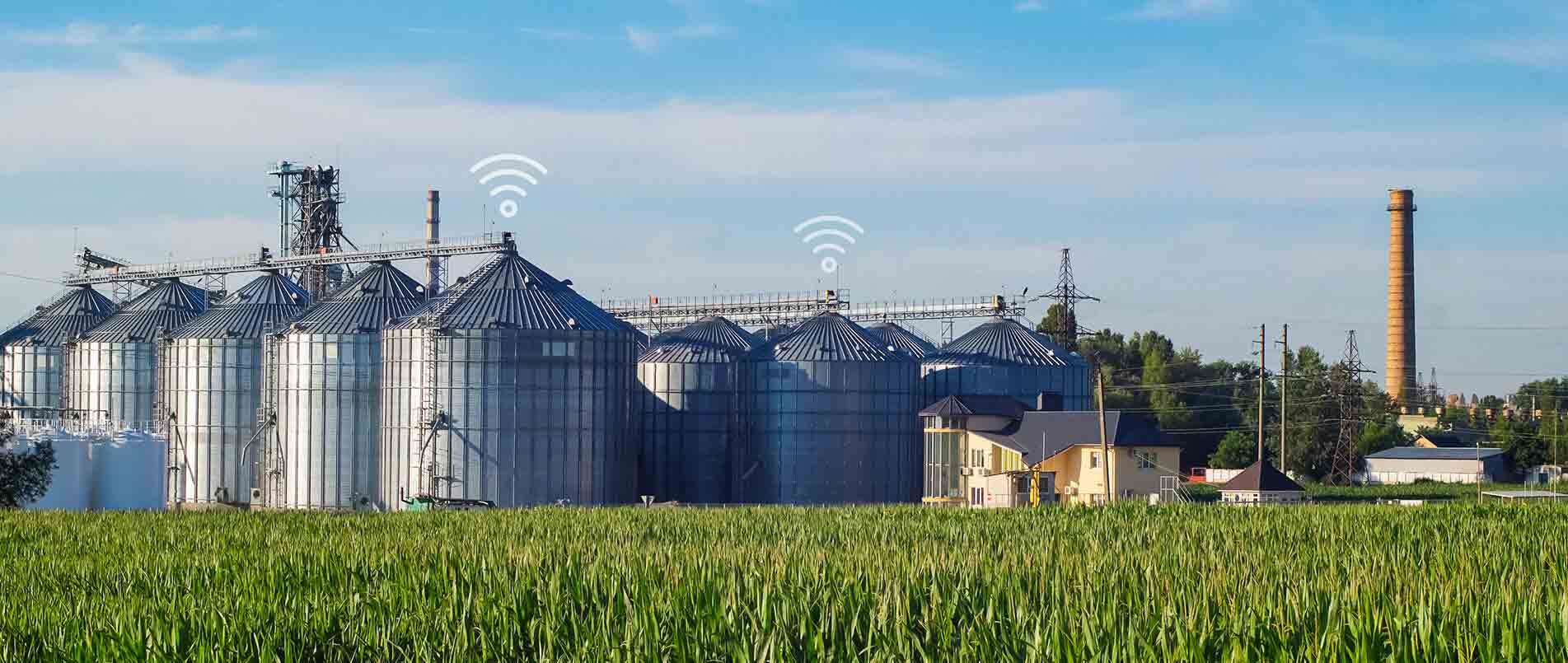 fun88官网助力夏粮存储新招式，科技手段更有效