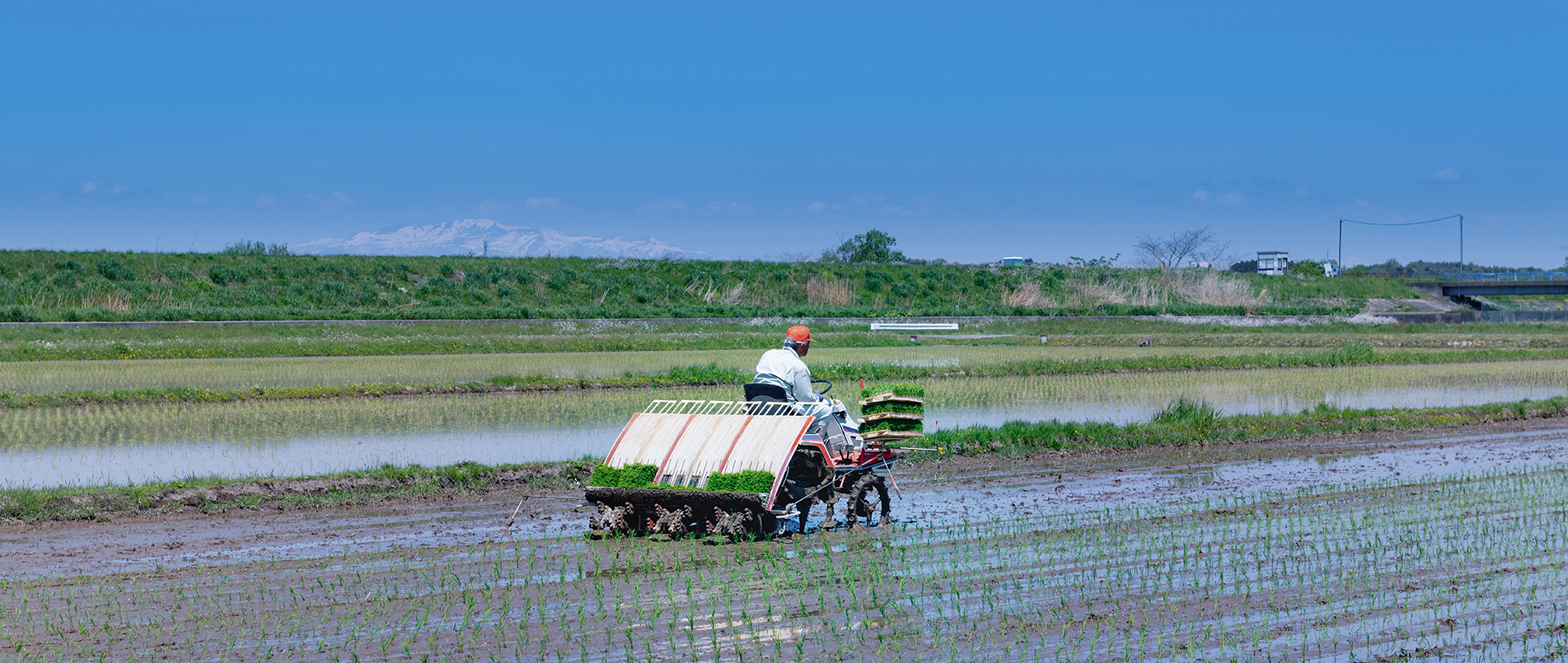 农机水田作业的“智慧大脑”——沃地泰FMA210，告别“经验种植”，开启精准高效农业之旅